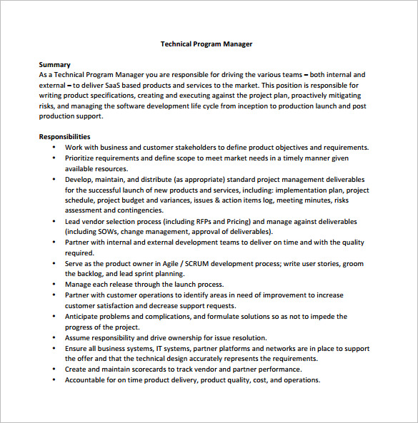 technical program manager job description pdf free download