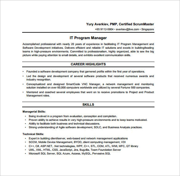 Program Manager Job Description Template – 10+ Free Word, PDF Format