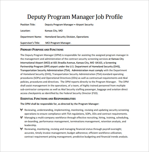 Deputy director it job description