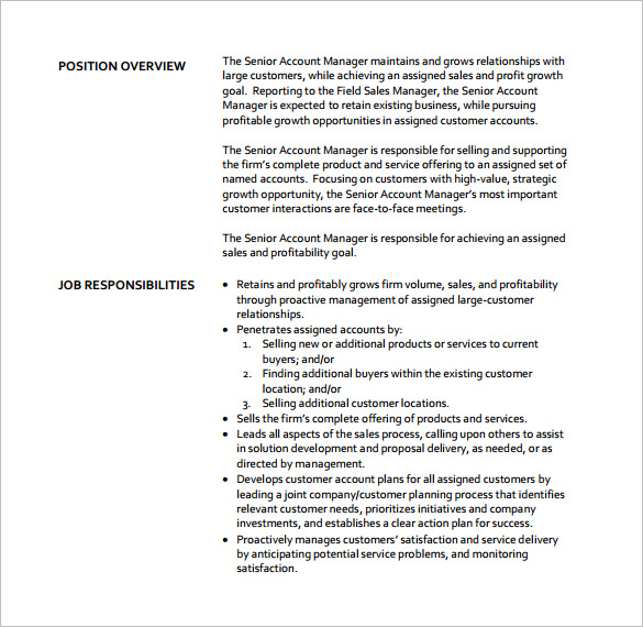 Account Manager Job Description Template 14+ Free Word, PDF Format