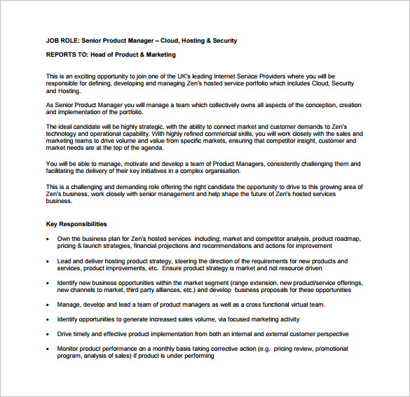 11+ Product Manager Job Description Templates Free Sample, Example