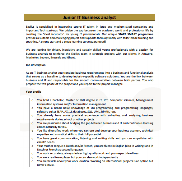 Business analyst job description