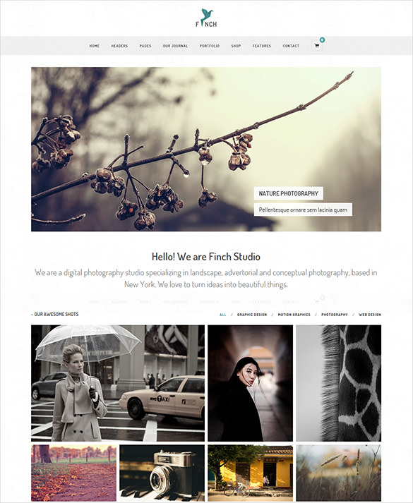 photography themes bootstrap 21 Bootstrap Photography  Themes  Free Templates &