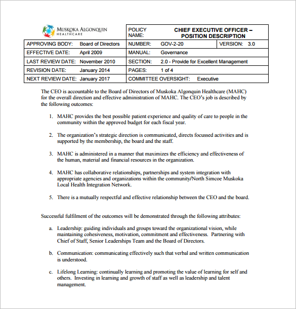 health care chief executive officer sample job description template