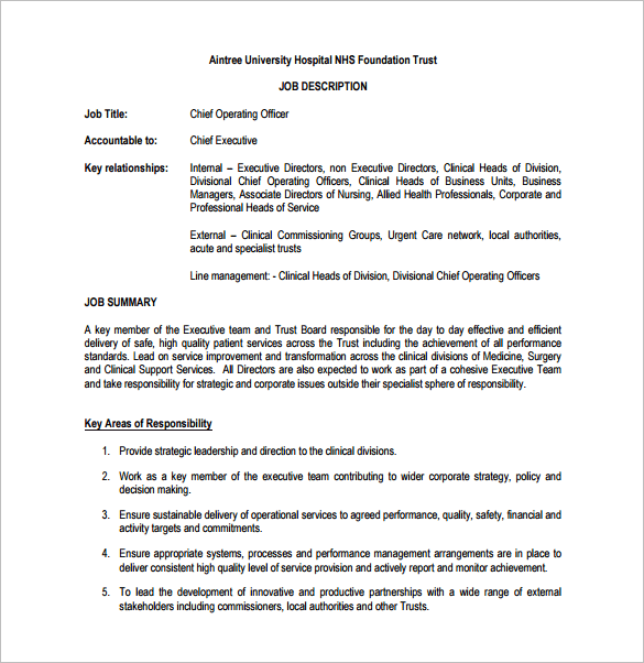 Deputy chief executive officer job description
