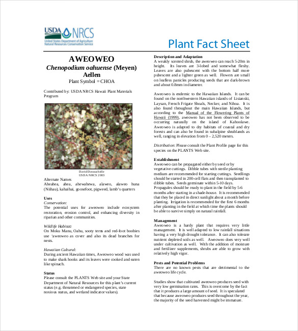 plant fact sheet template