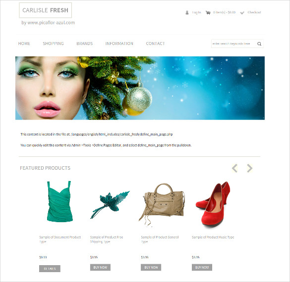 10+ Free ZenCart Themes & Templates