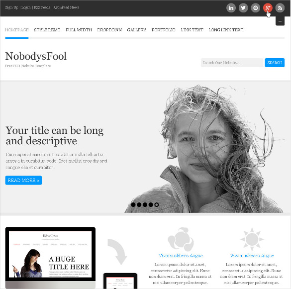 nobodysfool-free-psd-website-template