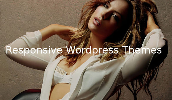responsive wordpress themes