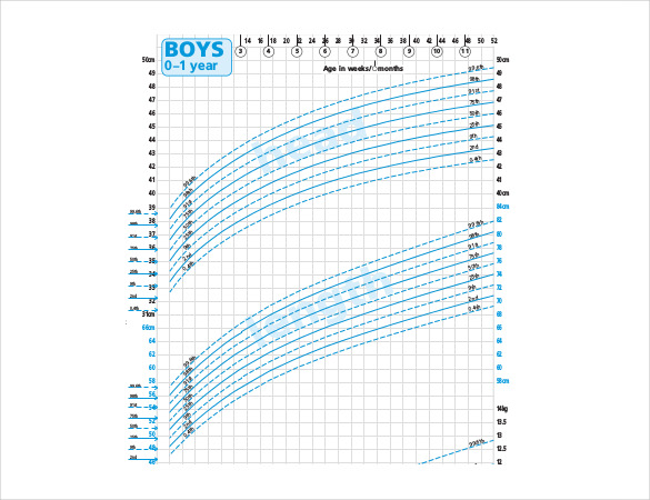 Average Baby Height Chart Uk