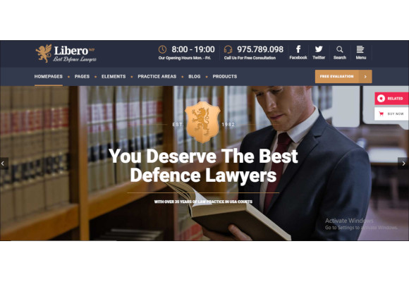 lawyer and law firm theme