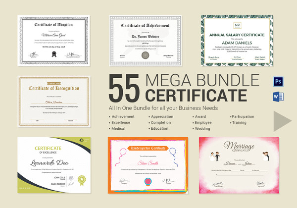 mega certificate bundle example