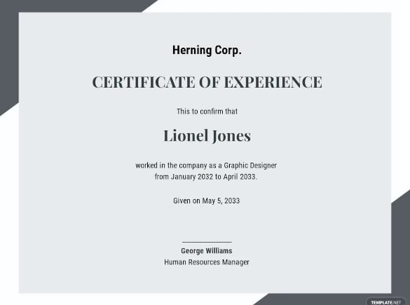 work experience certificate with salary details