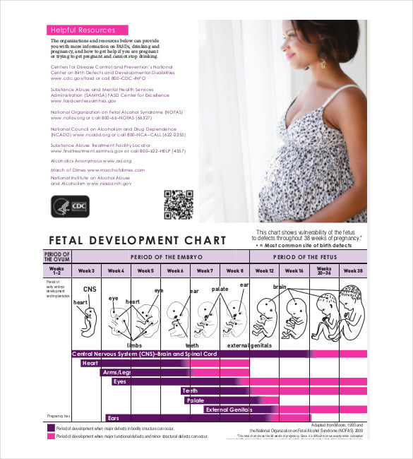 fetal development chart pdf format