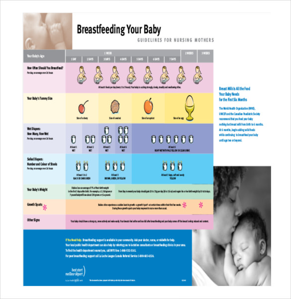 10+ Baby Growth Chart Templates - DOC, PDF | Free & Premium Templates