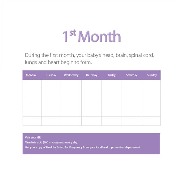 baby growth chart during pregnancy month by month
