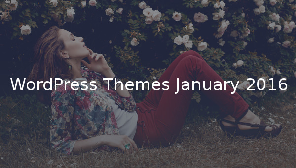wordpress themes january 20