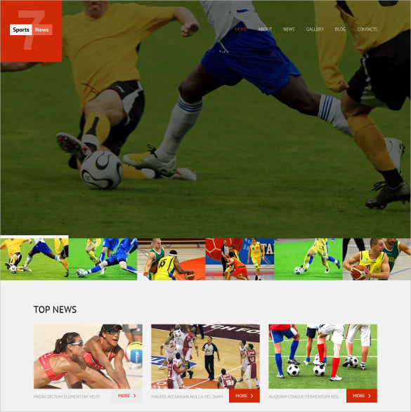 sports news responsive wordpress theme