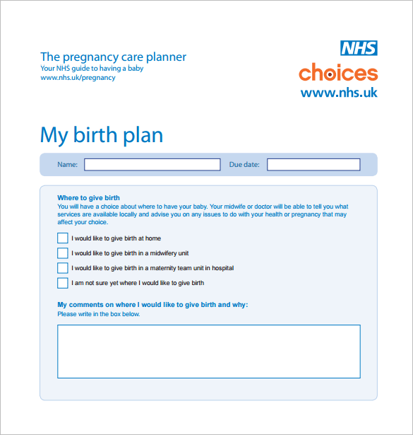 my birth plan free pdf template download