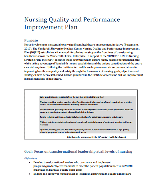 nursing quality and performance improvement plan pdf free download