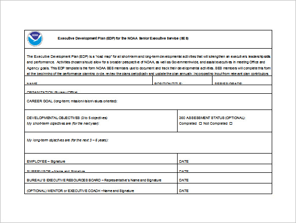 executive career development plan free word template download