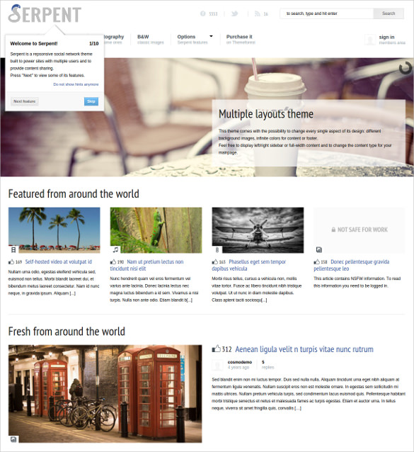 28+ Social Media Website Themes & Templates