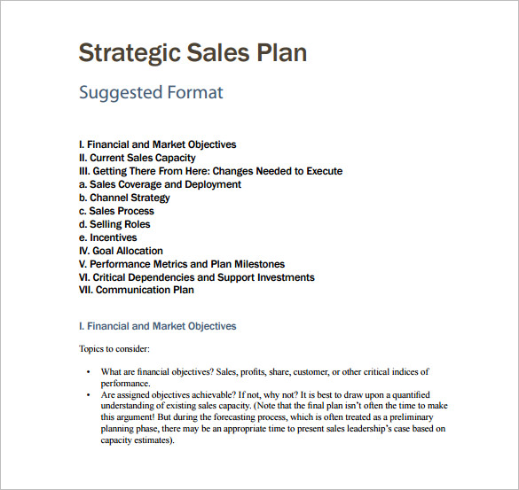 Sales Plan Template Professional Word Templates