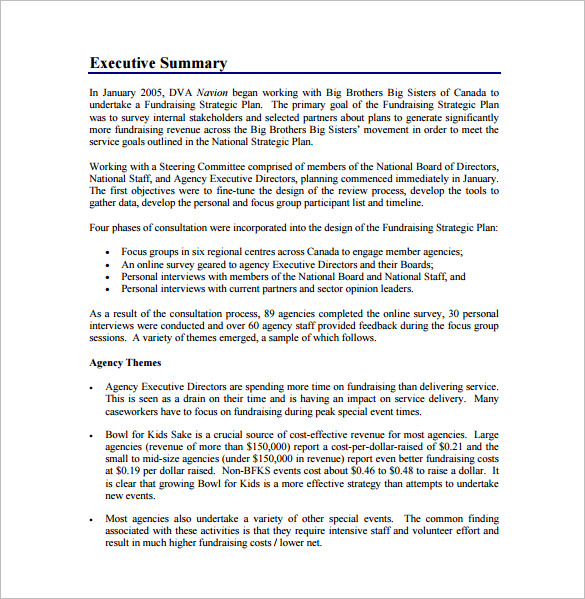 fundraising strategic plan free pdf template download