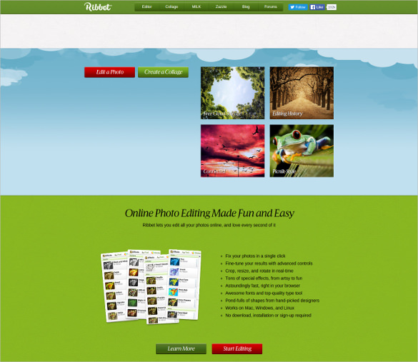 Online Photo Editor  Ribbet Easy Online Image Editing