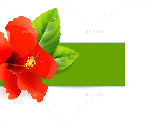 floral background with hibiscus eps format