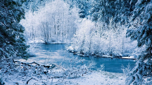 winter river snow trees landscape background for phone