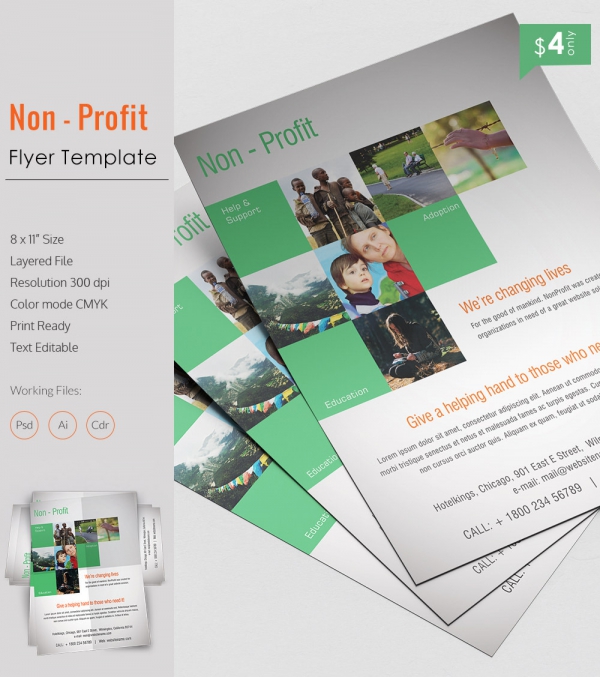 Admirable Non Profit Flyer Template