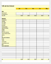 Simple Financial Plan Inventory Worksheet Template