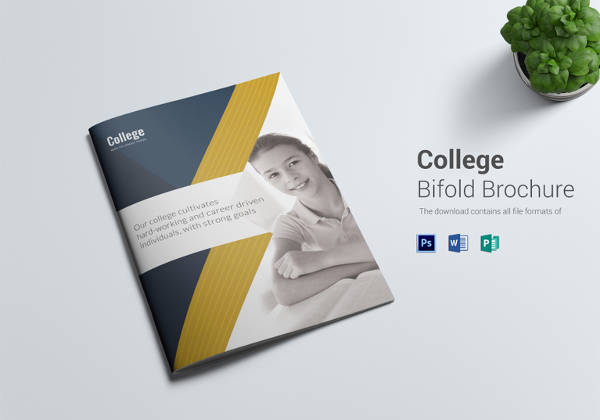 college bi fold brochure design