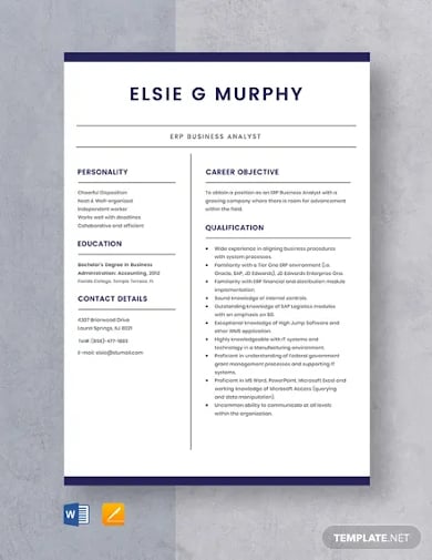erp business analyst resume template