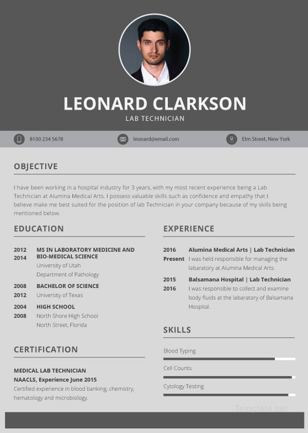 Free Resume Template Download For Mac