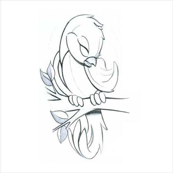 pretty cute bird drawing template