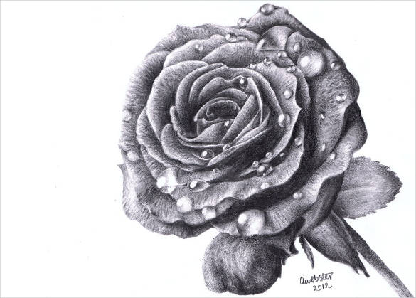 cool rose designs to draw