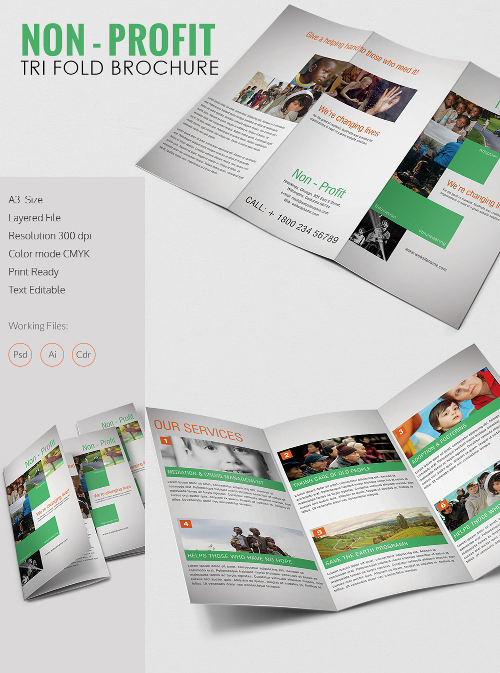 Amazing Non Profit A3 Tri Fold Brochure Template Download Free & Premium Templates