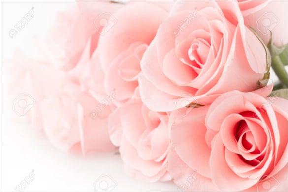 rose flower bouquet vintage background download