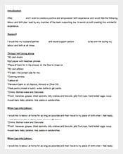 Empowered-Birth-Plan-Sample-Word-Template-Free-Download