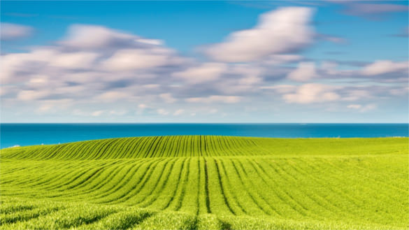 baltic sea field hd background free download