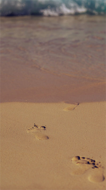 sea beach footprint vacation summer dark download