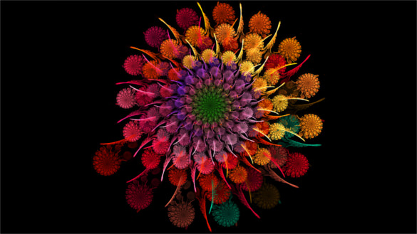 rainbow flower spiral fractal background for desktop