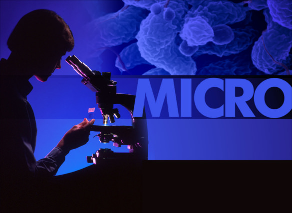 microbiology powerpoint template