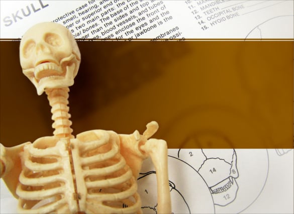 skeleton-powerpoint-template