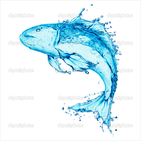 splash water fish transparent background download