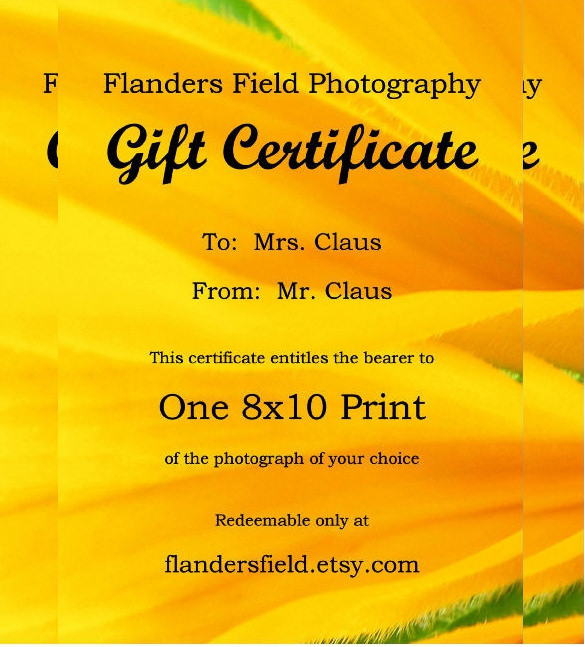 7+ Email Gift Certificate Templates Free Sample, Example, Format