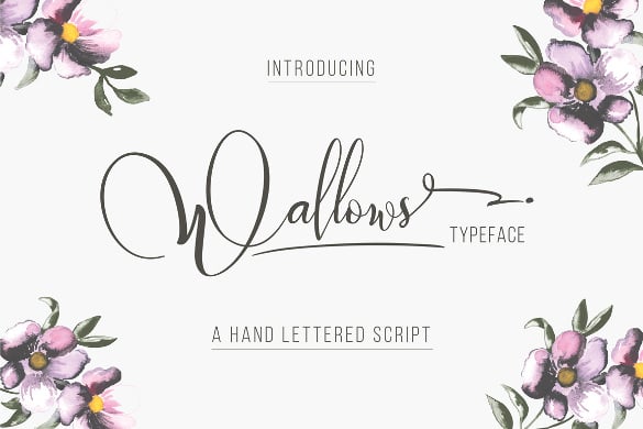 wallows-typeface