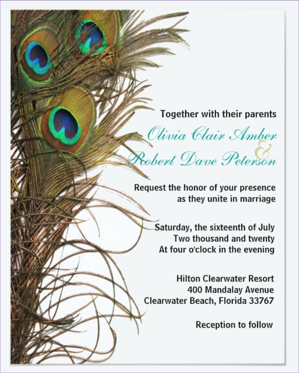 elegant simple peacock feather wedding invitation